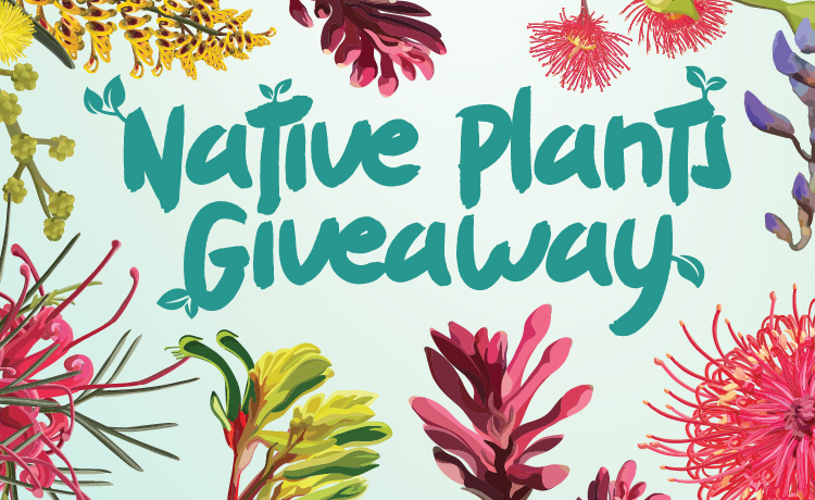 Text "Native Plants Giveway" bordered by native flowers.