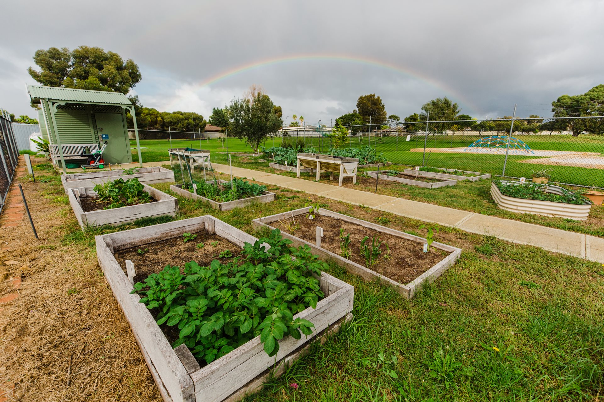 Rockingham City Community Garden