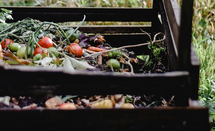 Wooden crate filled with composted vegetables