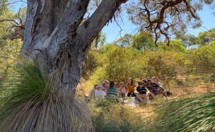 People sitting in a circle under the shade of a large tree