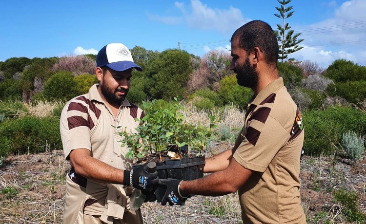 Community Planting Day 2025 - Secret Harbour