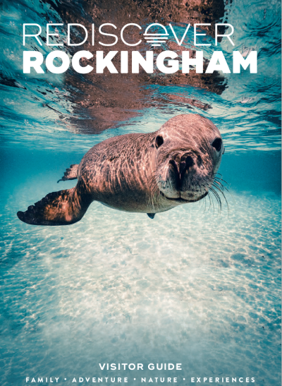 Cover of the Rockingham Visitor Guide featuring seal underwater