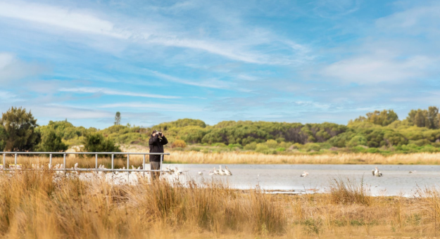 Birdwatching at Lake Richmond