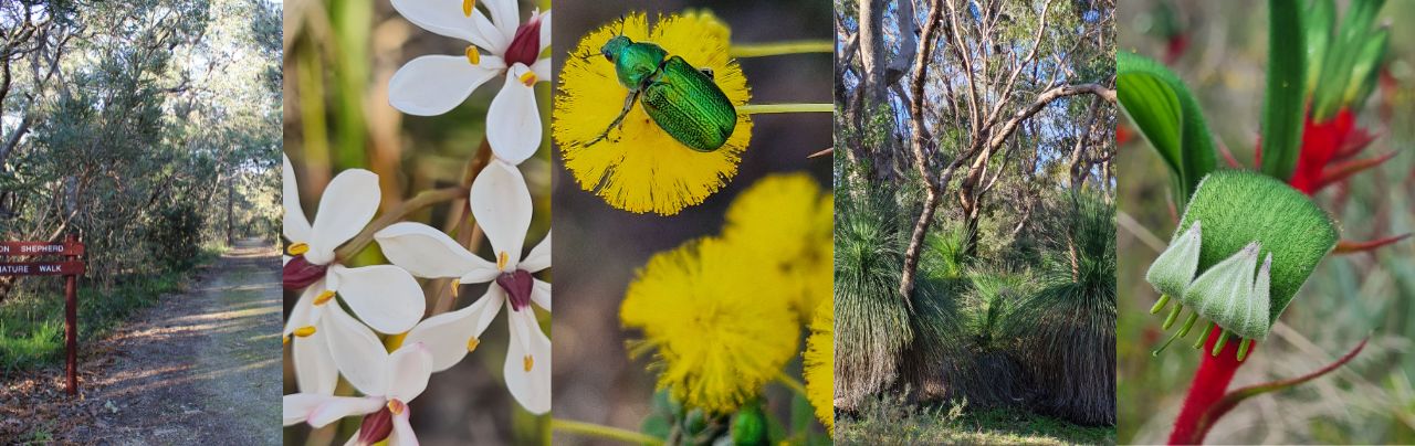 Don Shepherd Reserve, flora and fauna.