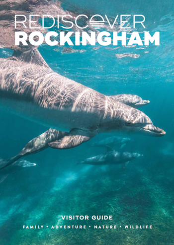 Front cover of 2025 edition of Rockingham Visitor Guide, featuring pod of dolphins swimming underwater.