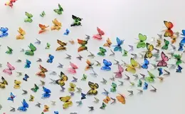 a group of butterflies on a white surface