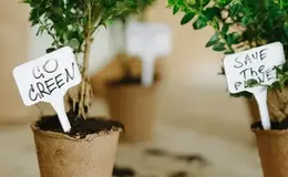 a group of plants in pots with labels