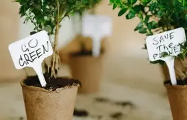 a group of plants in pots with labels