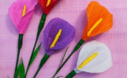 a group of colorful flowers