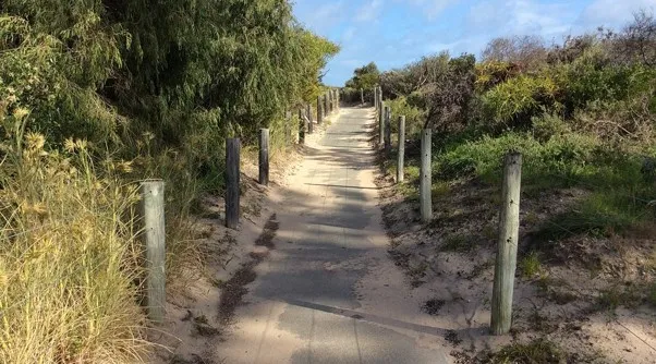 a path with wooden posts and trees