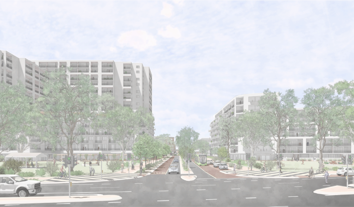 a street with trees and buildings