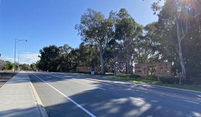a road with trees and a gate