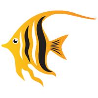Angel fish