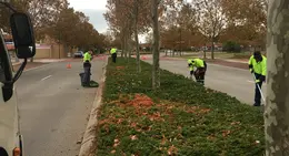 a group of people in reflective vests on a street
