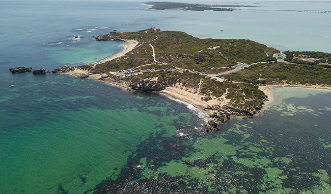 Image of Cape Peron Transport Study