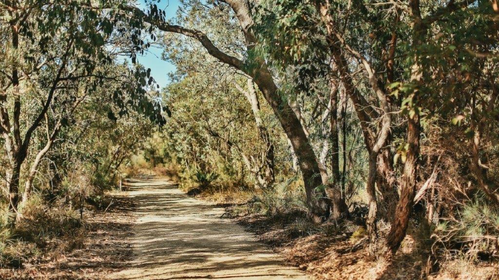 Image of Don Shepherd Nature Reserve