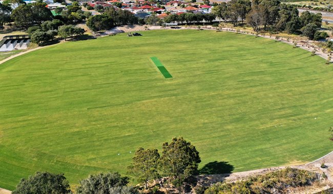 a large green field with trees and houses