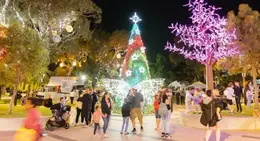 Christmas-Lights-Launch-2024-Decorations_1.png