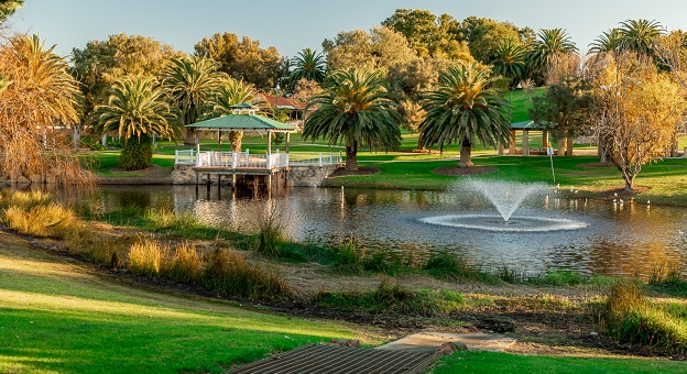 Image of Don Cuthbertson Reserve