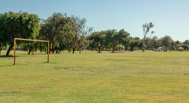a field of grass with trees and a blue sky