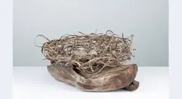 a nest on a piece of wood