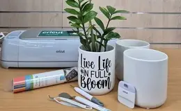 a plant in a pot next to a cricut machine