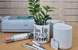 a plant in a pot next to a cricut machine