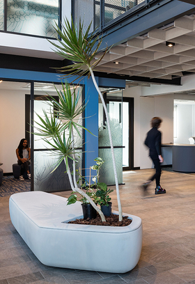 Office-and-Consult-Rooms.jpg