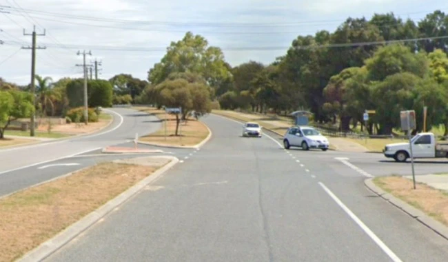 cars on a road with trees
