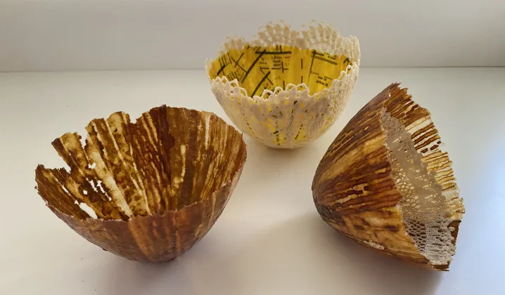 a group of shells with lace