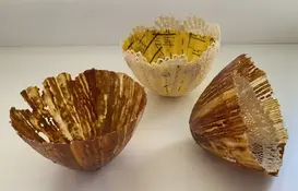 a group of shells with lace