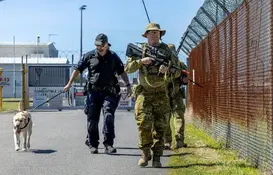 a group of men in military uniforms walking on a road