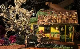 a small house with a tree