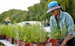 a woman with a hat and glasses looking at plants