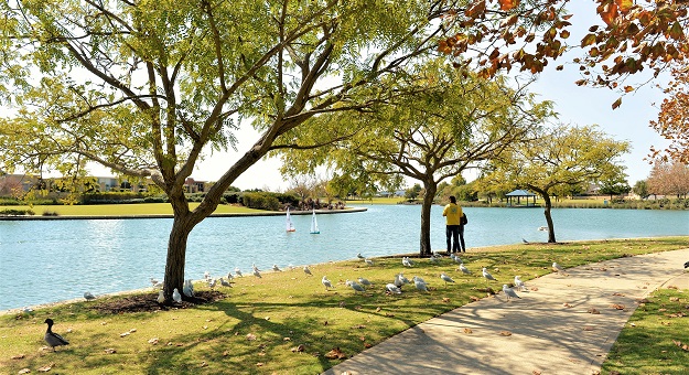 Image of Harrington Waters Reserve