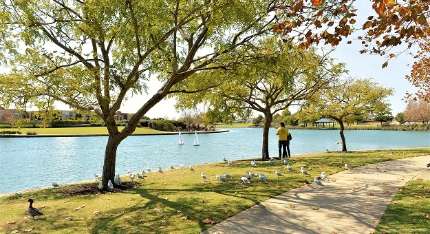 Image of Harrington Waters Reserve