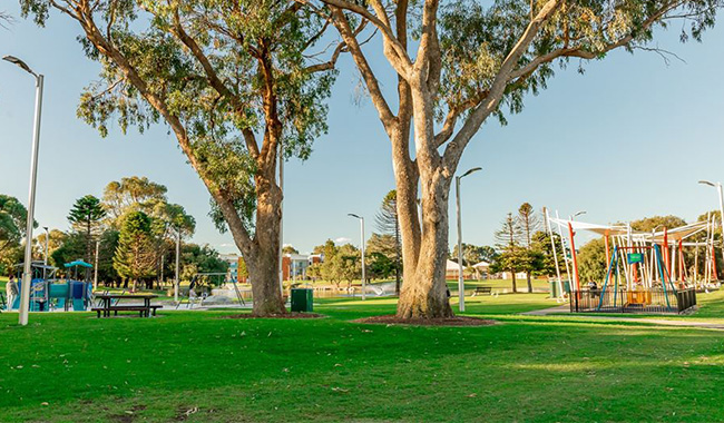 a park with trees and a basketball hoop