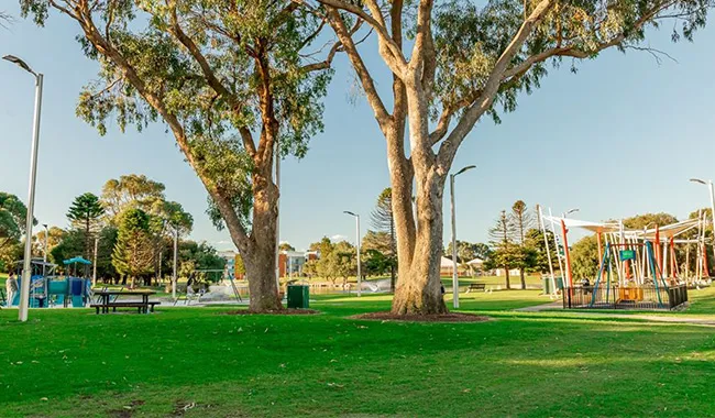 a park with trees and a basketball hoop