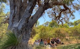 a group of people sitting under a tree