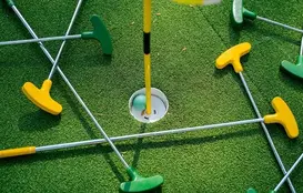 a golf balls and tees in a hole