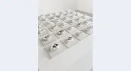 a group of white objects on a white surface