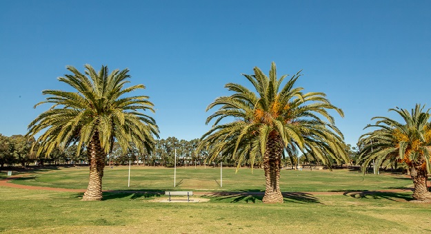 Image of Secret Harbour Oval