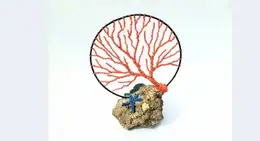 a coral tree and starfish on a rock