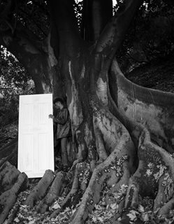 Photograph of a man holding a door in against a large tree