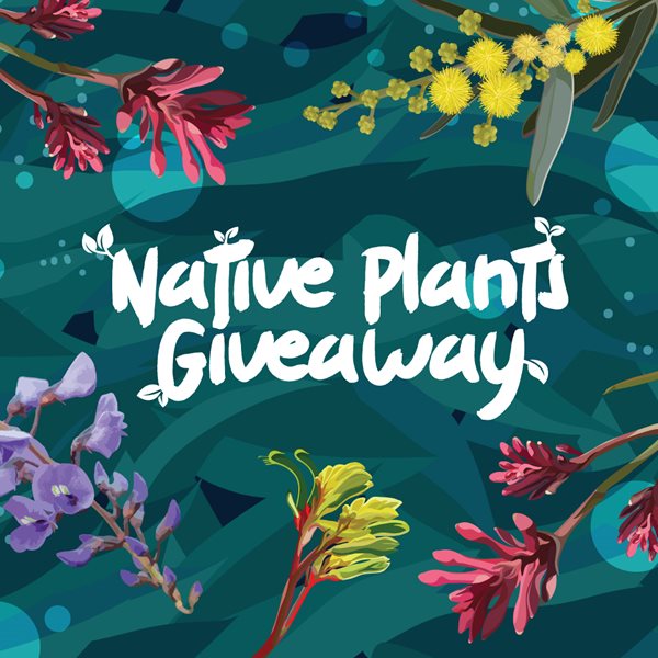 Text "Native Plants Giveway" bordered by native flowers.