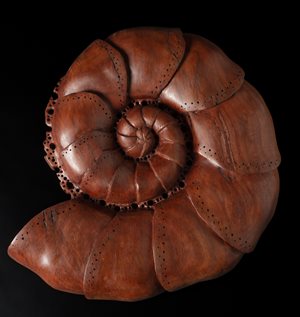 Large snail-shaped shell carved out of wood.