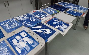 Examples of blue cyanotypes on a table.