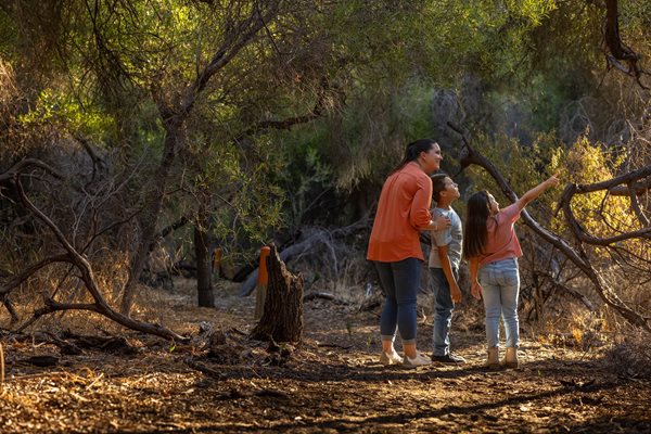 Visitors to Baldivis Children's Forest exploring the tuart woodlands along trail at site.