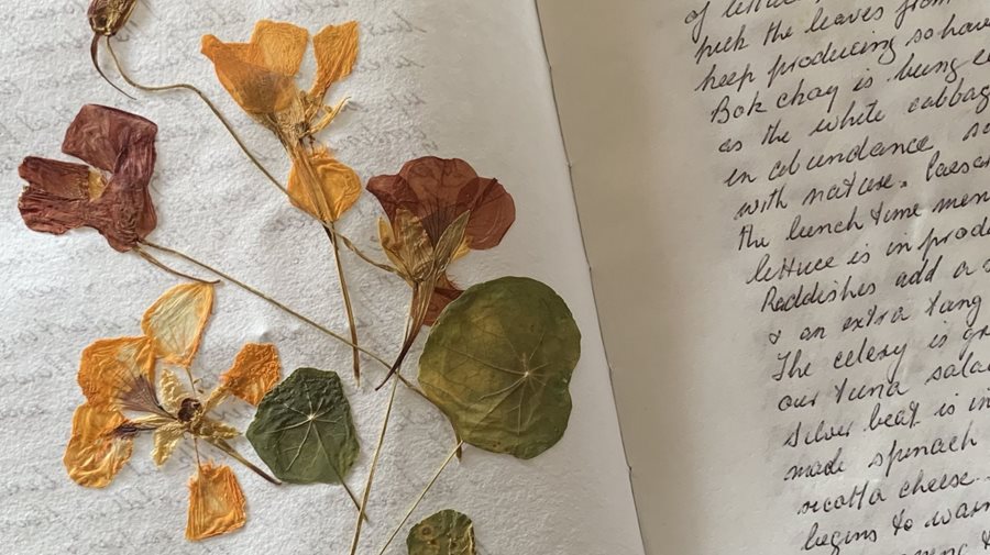 Pressed flowers in a diary.