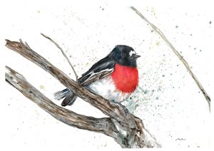 Watercolour painting of a red-breasted bird on a branch.